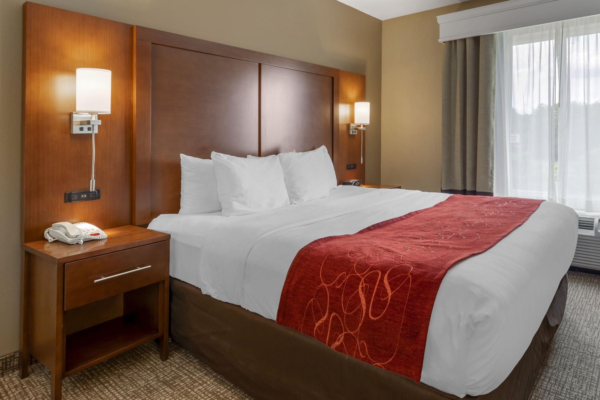 Comfort Suites North Ноксвилл Экстерьер фото